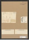 Eunotogramma frauenfeldii Grun. (de-Toni-Nr.: Genus 128, Species 3565) Zeichnungen Sammlung Grunow Nr. 7052 (NHMW-BOT-W0375988)